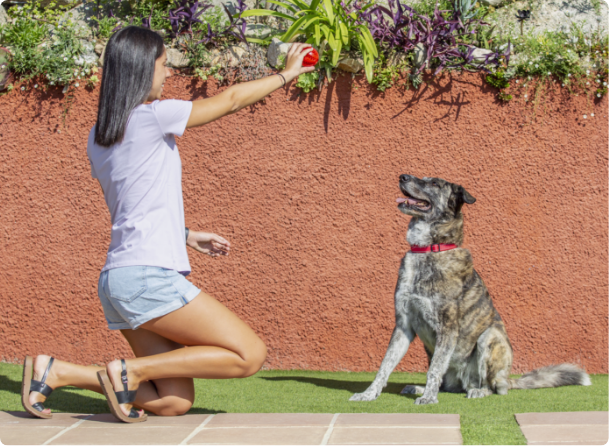 girl playing with dog